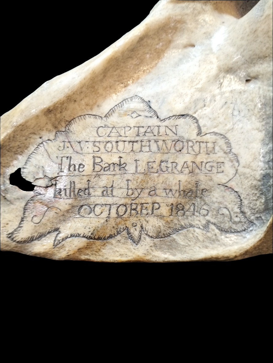 Memento Mori 1846