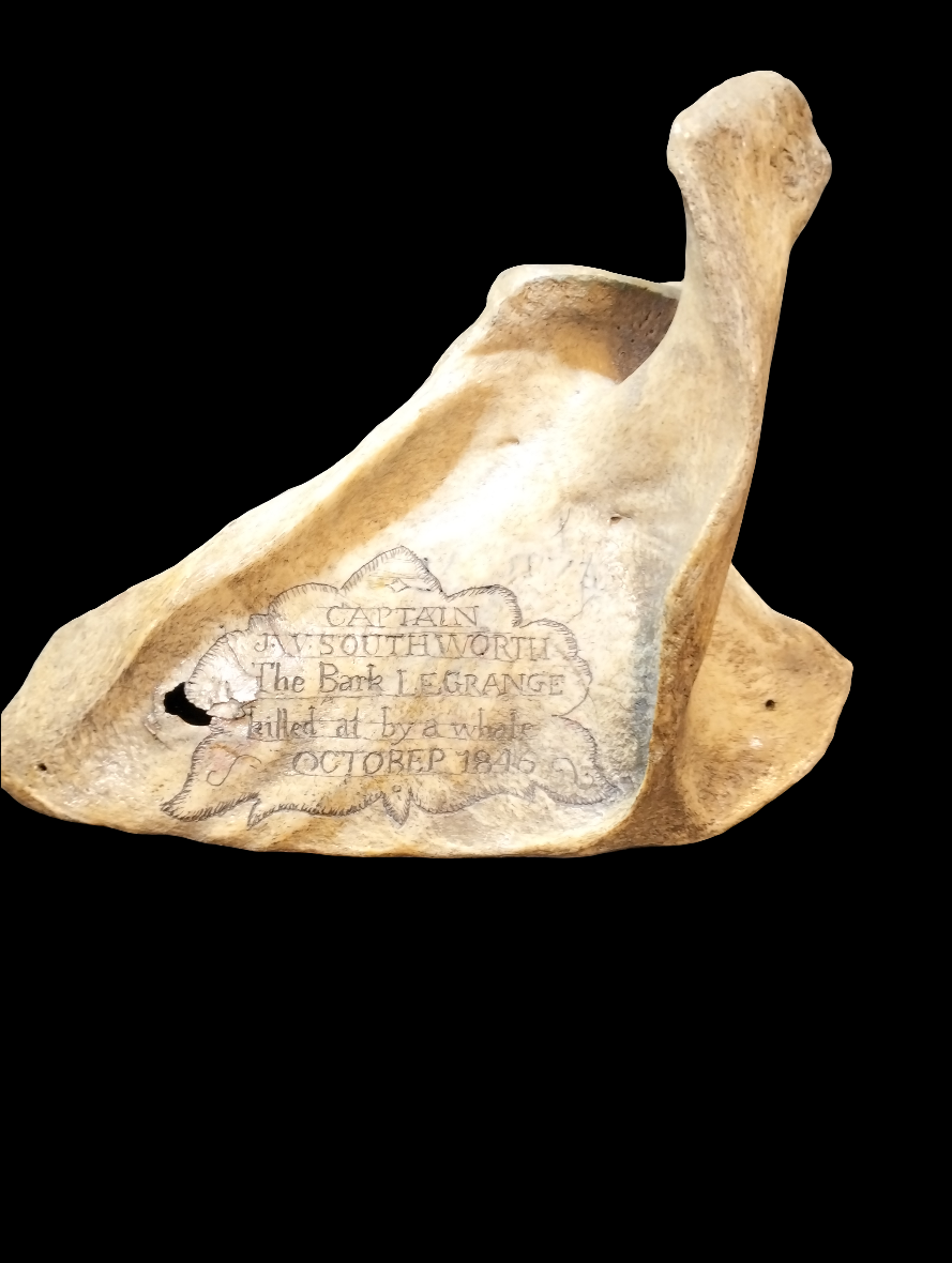 Memento Mori 1846